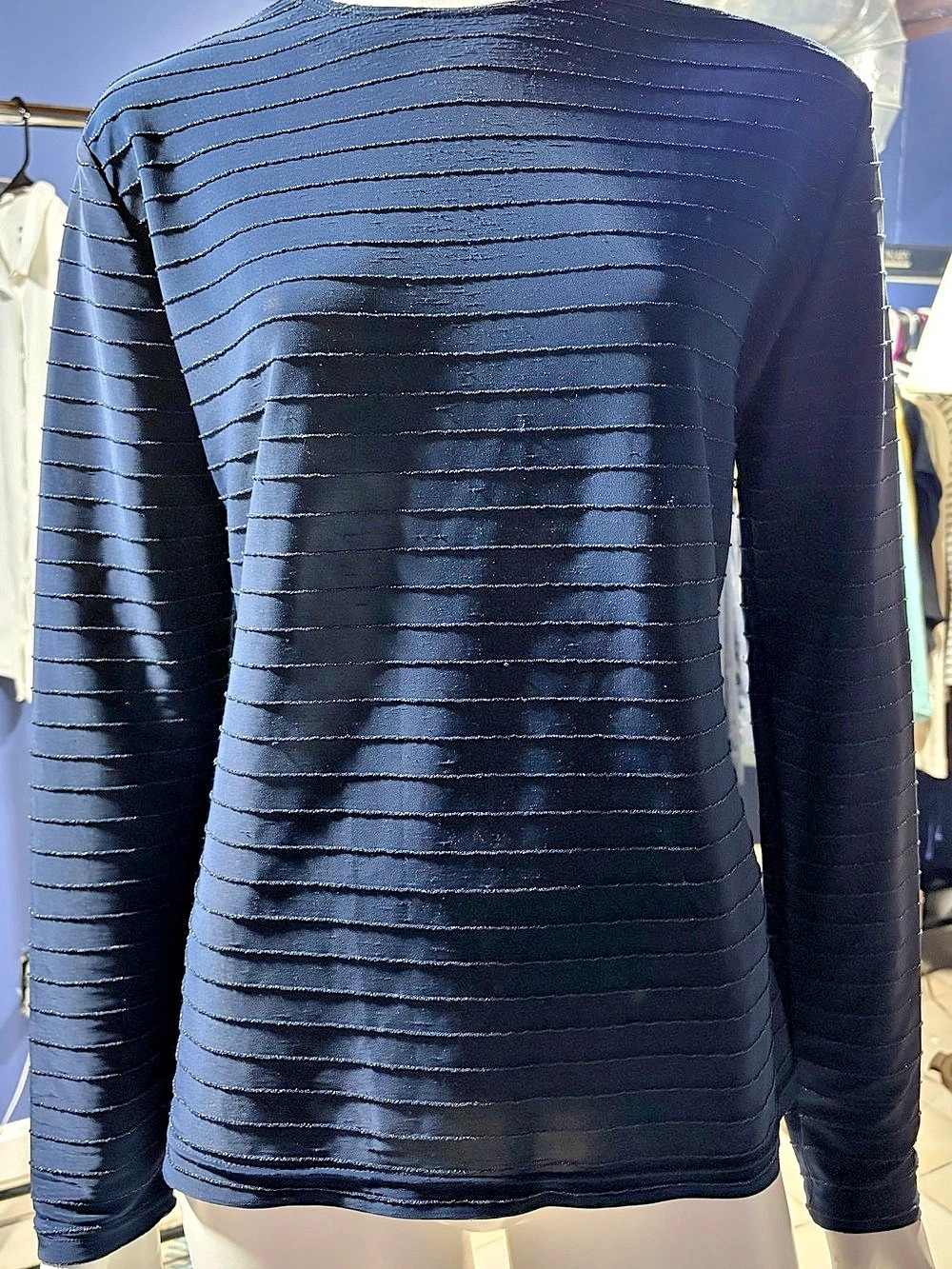 Castro Women's Long Sleeve Textured Top in Blue EUC